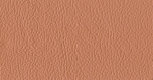 album1_test_site_for_leather_hides001015.jpg