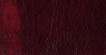leather_hide_uk_ltd001023.jpg
