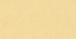leather_hide_uk_ltd001077.jpg