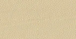 leather_hide_uk_ltd001080.jpg