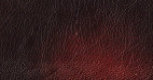 leather_hide_uk_ltd001086.jpg
