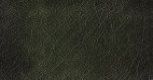 leather_hide_uk_ltd001090.jpg