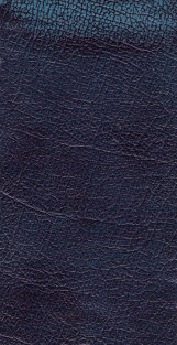 leather_hide_uk_ltd001093.jpg