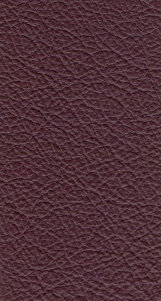 leather_hide_uk_ltd001097.jpg