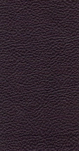 leather_hide_uk_ltd001098.jpg