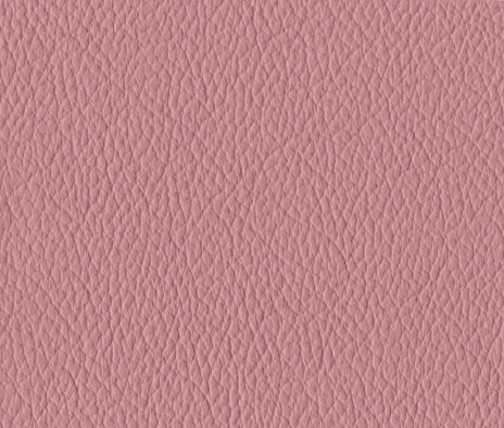 leather_hides_uk001004.jpg
