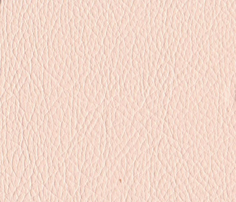 leather_hides_uk001008.jpg