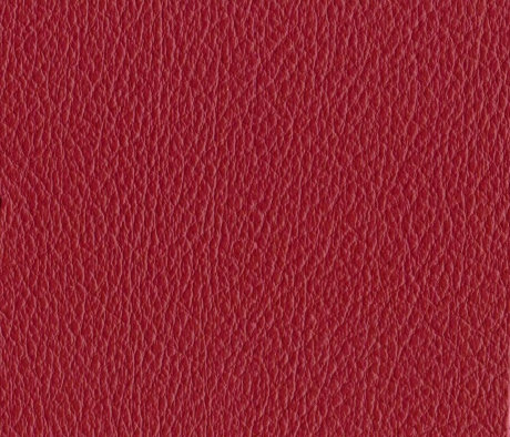 leather_hides_uk001009.jpg