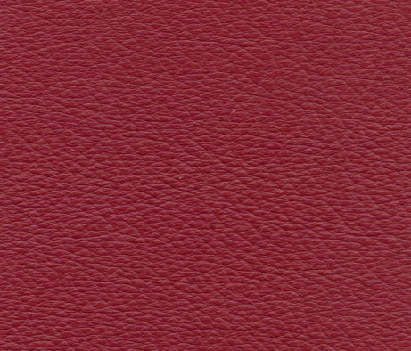 leather_hides_uk001010.jpg