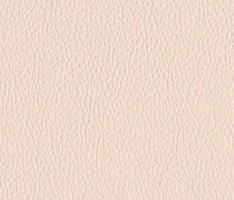 leather_hides_uk001017.jpg
