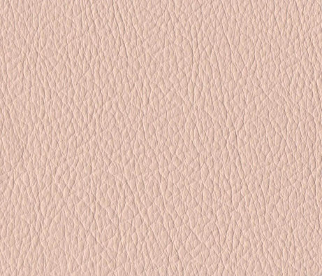 leather_hides_uk001018.jpg