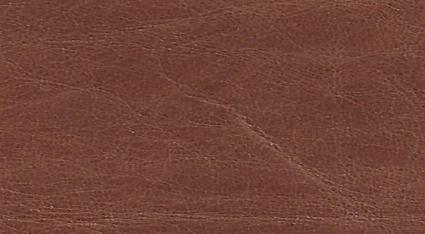 leather_hides_uk058007.jpg