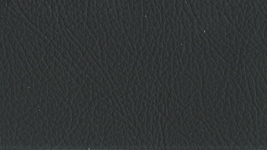 leather_hides_uk059003.jpg
