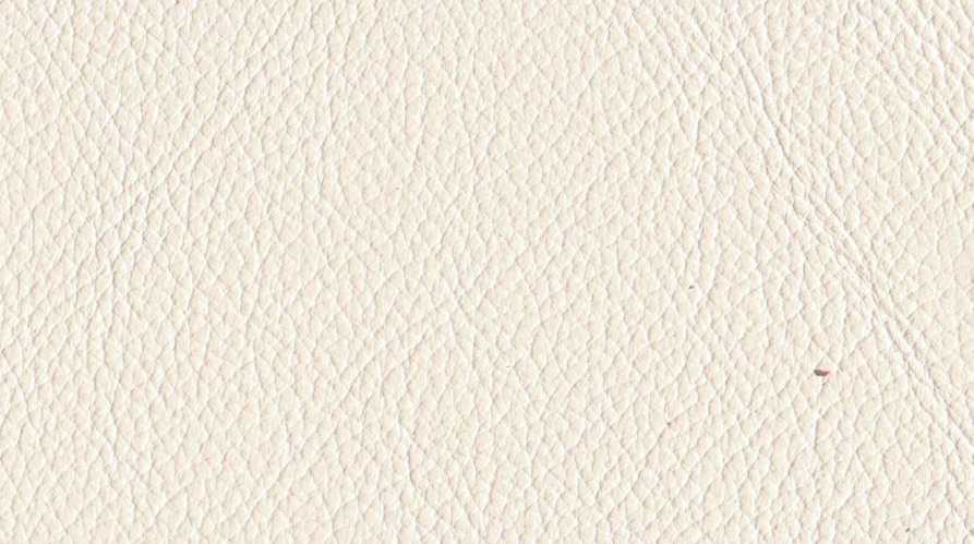 leather_hides_uk059005.jpg