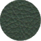 picture17_jade_green.gif